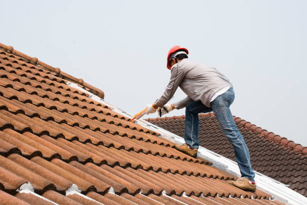 Best Asphalt Shingle Roofing  in Harahan, LA